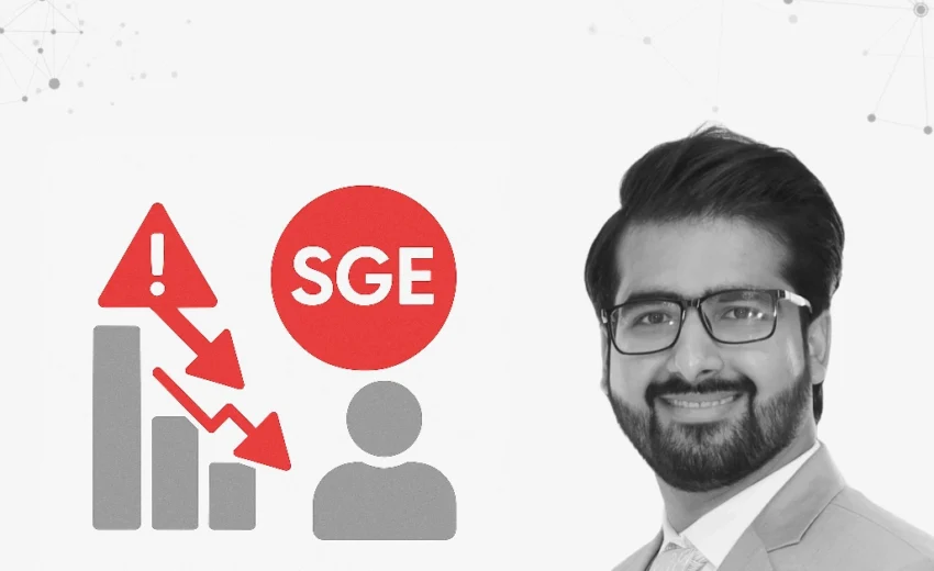 Why Some Niches Lose More Traffic in SGE and How to Survive